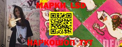 прущие грибы Дубна