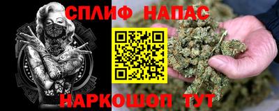 индика Донской